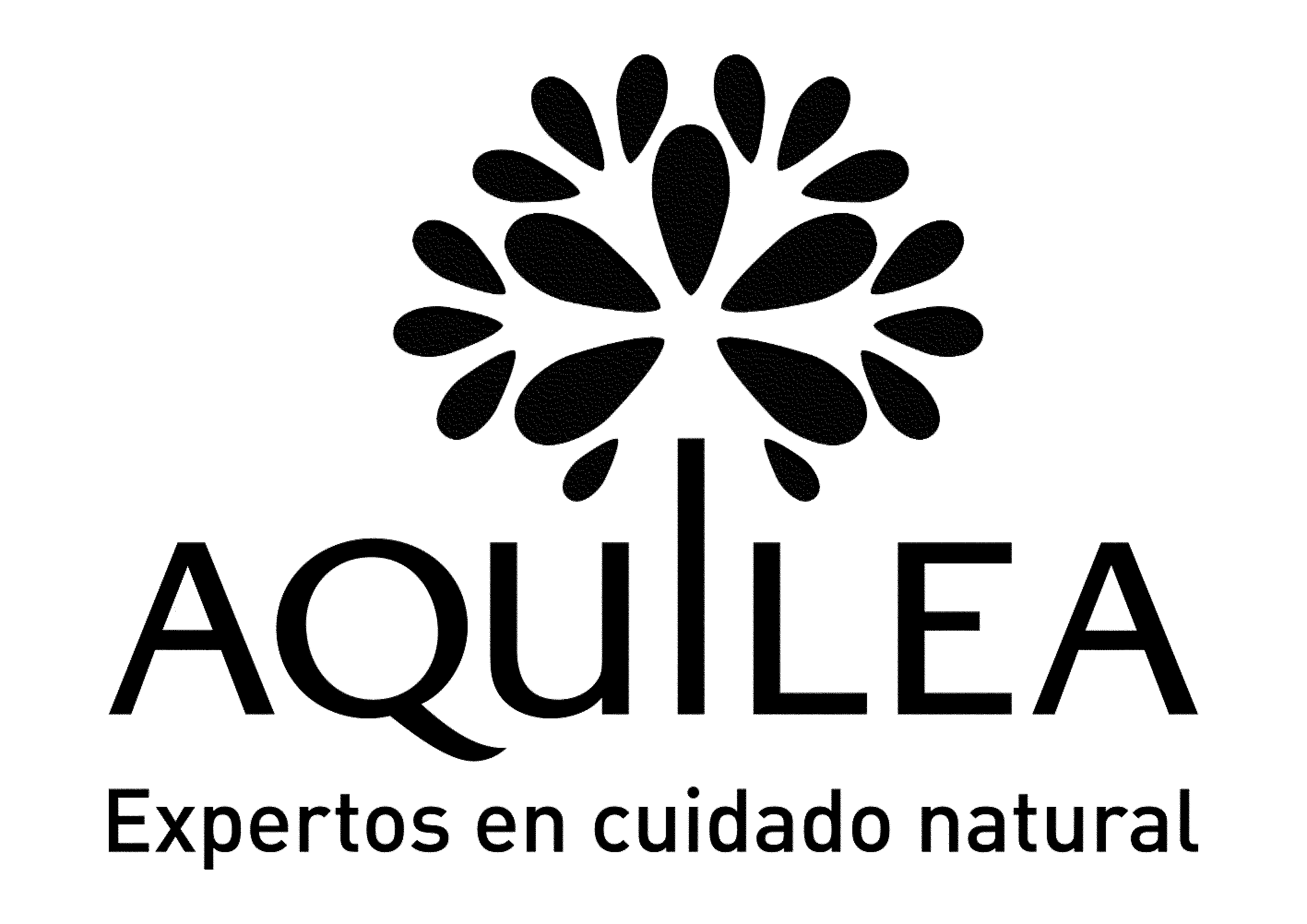 aquilea logo bits